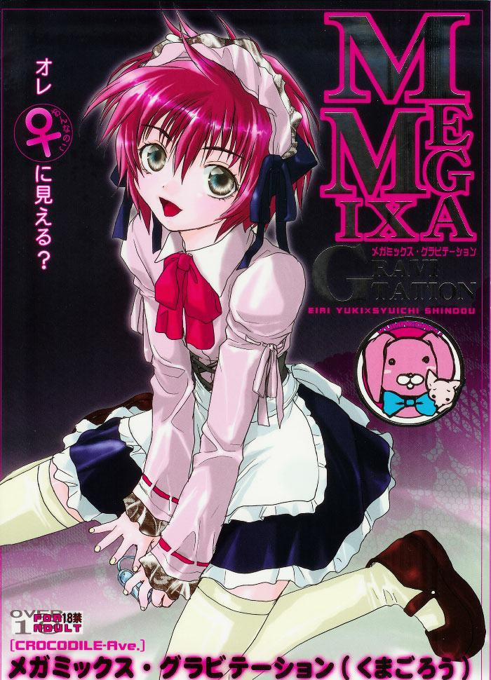 Sự Quyến Rũ Của Megamix 3 trang 0