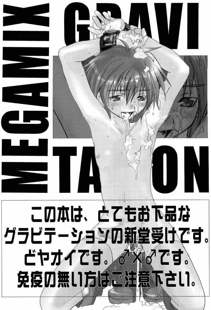 Sự Quyến Rũ Của Megamix 3 trang 2