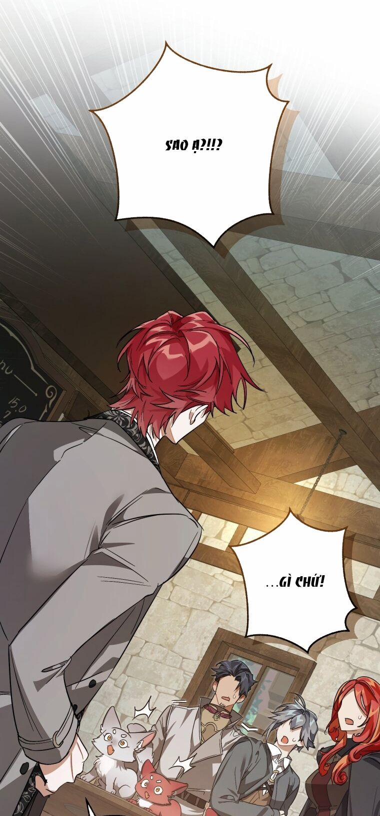 Sự Ra Đời Của Một Anh Hùng 103.2 trang 15