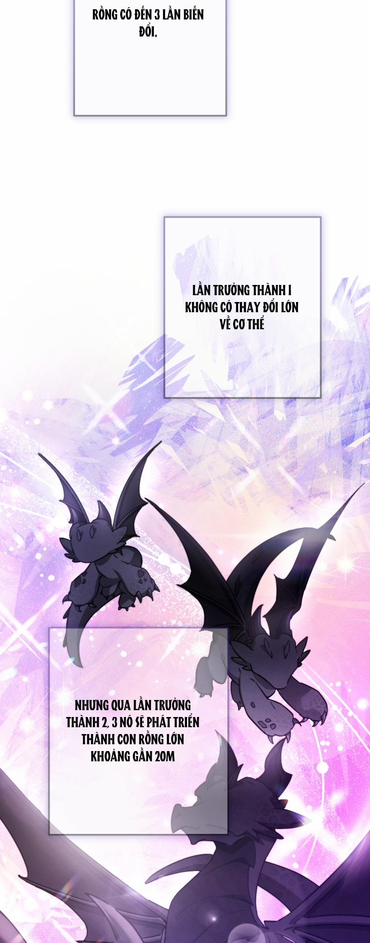 Sự Ra Đời Của Một Anh Hùng 110.1 trang 9