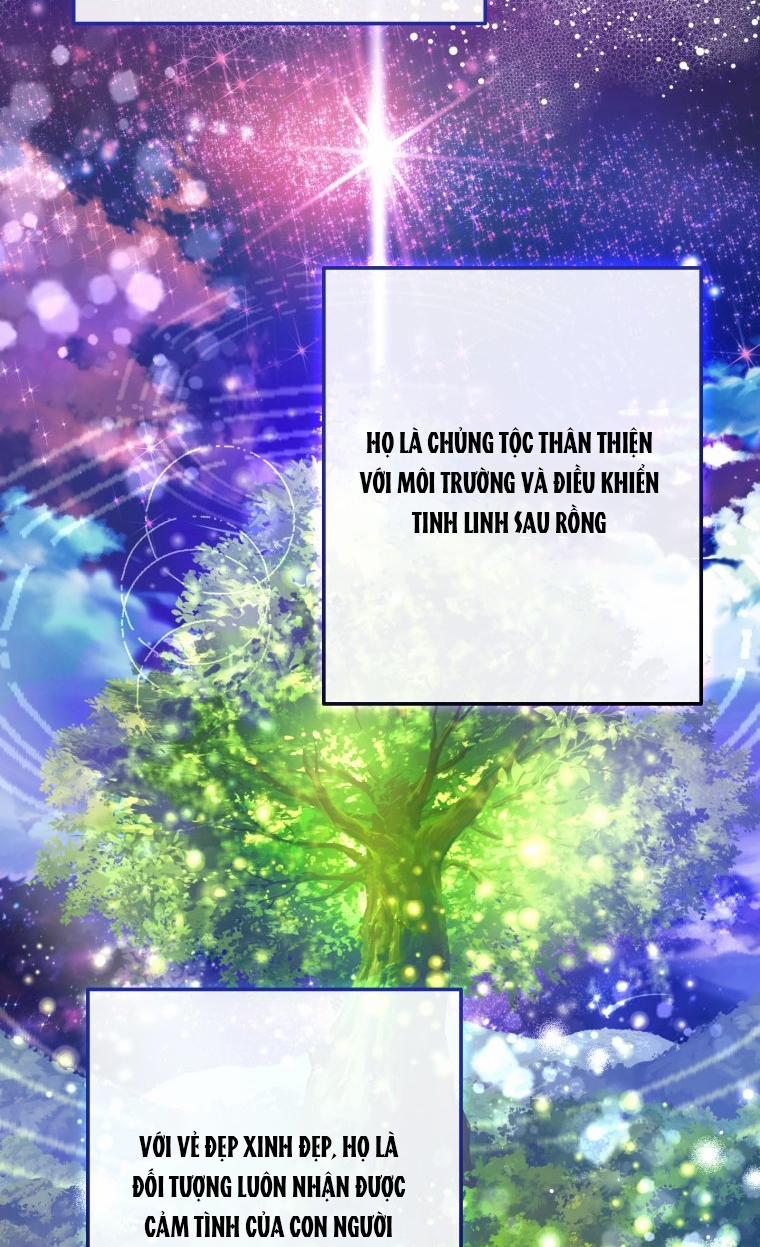 Sự Ra Đời Của Một Anh Hùng 113.2 trang 38