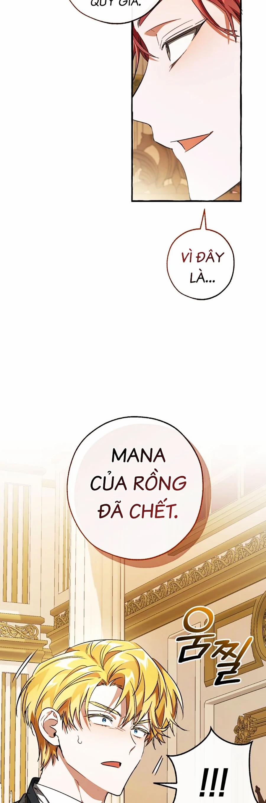 Sự Ra Đời Của Một Anh Hùng 114 trang 15