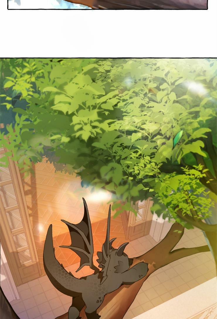 Sự Ra Đời Của Một Anh Hùng 39 trang 10