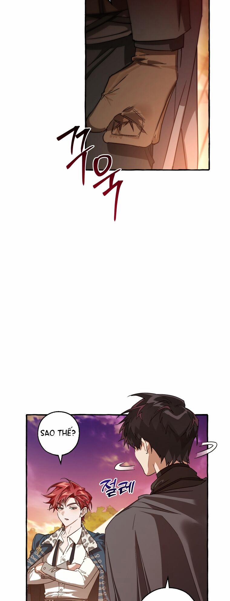 Sự Ra Đời Của Một Anh Hùng 96.1 trang 9