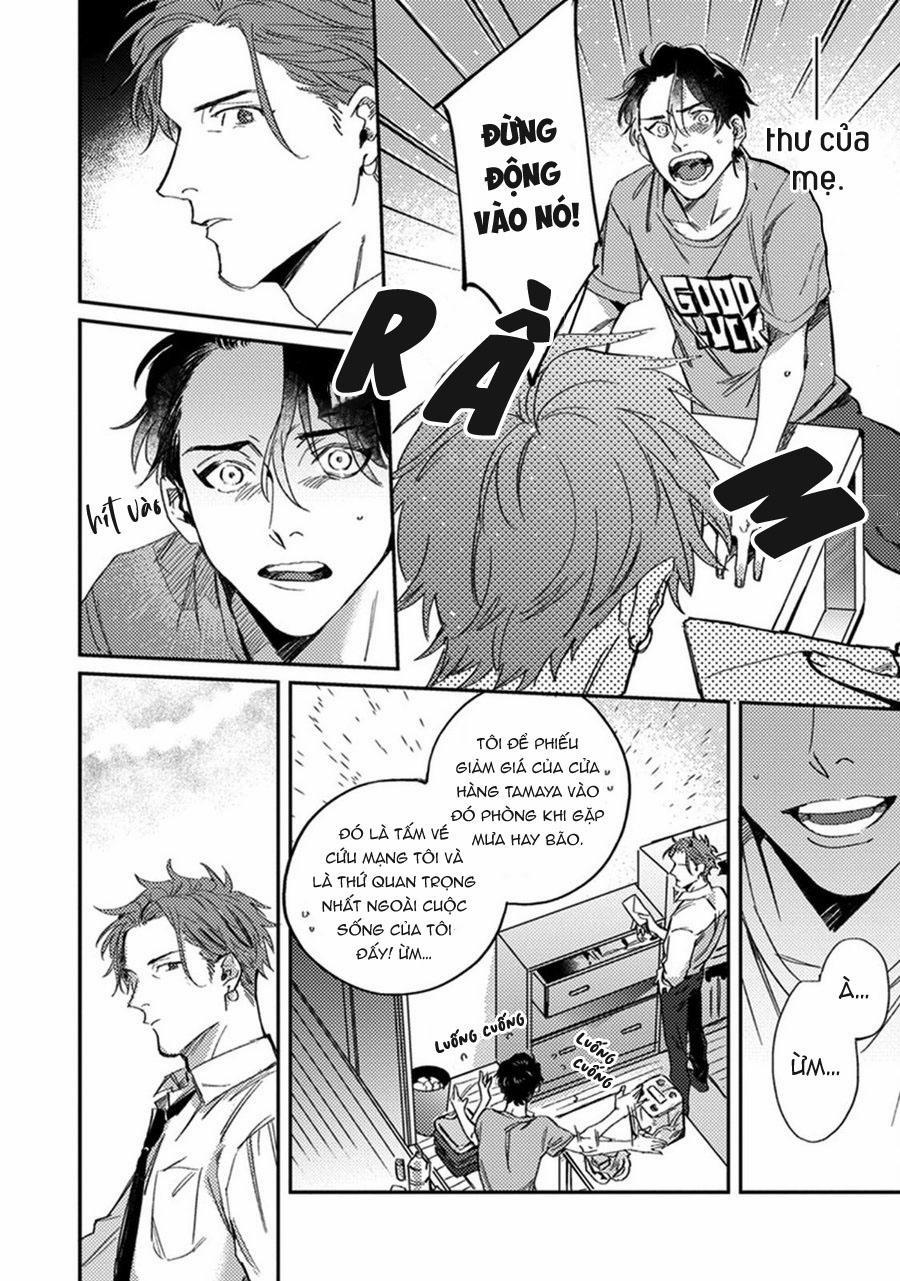 Sự Rung Động Thuần Khiết 4 trang 11