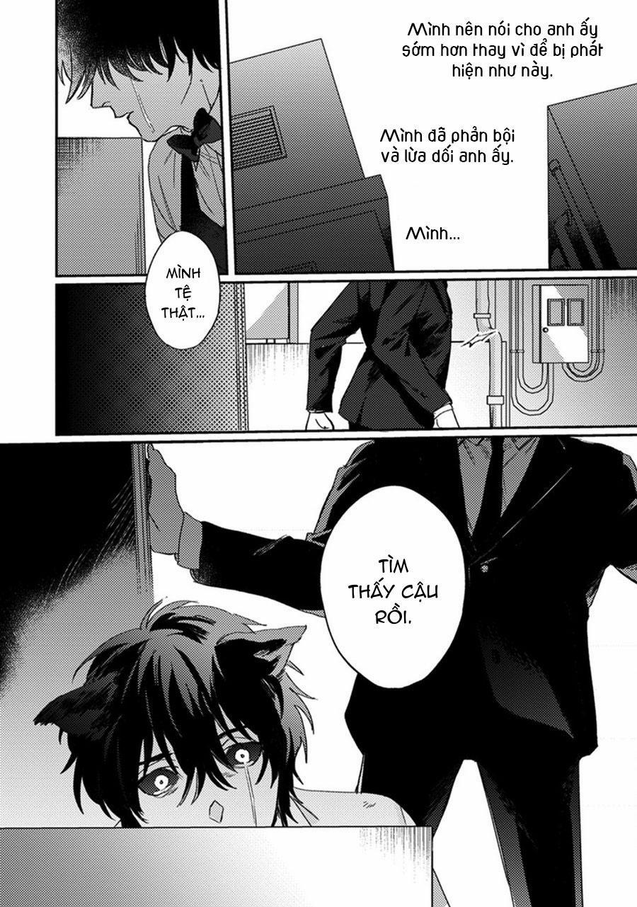 Sự Rung Động Thuần Khiết 5 trang 10