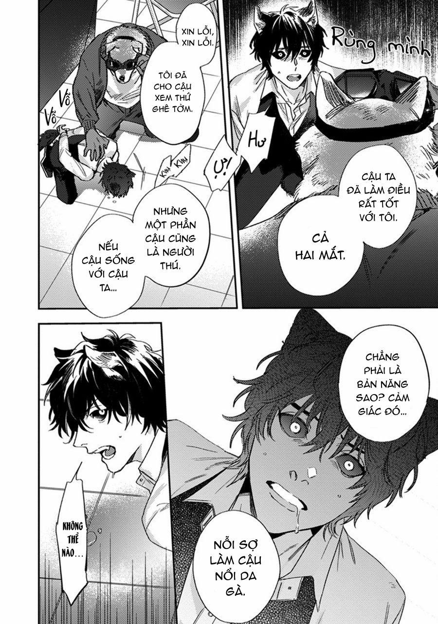 Sự Rung Động Thuần Khiết 5 trang 18