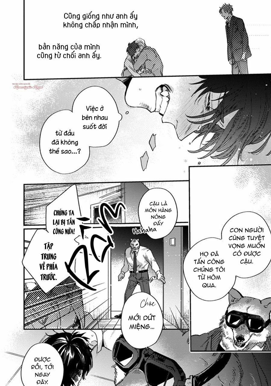 Sự Rung Động Thuần Khiết 5 trang 20