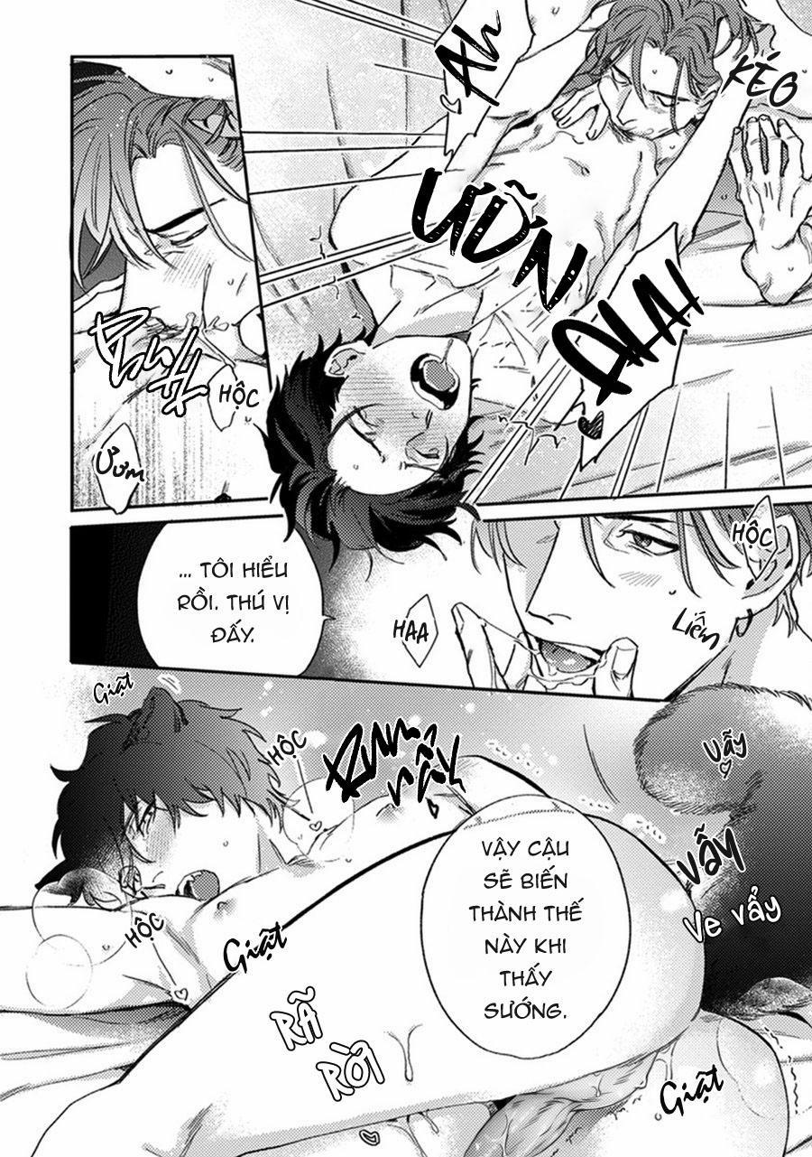 Sự Rung Động Thuần Khiết 6 trang 22