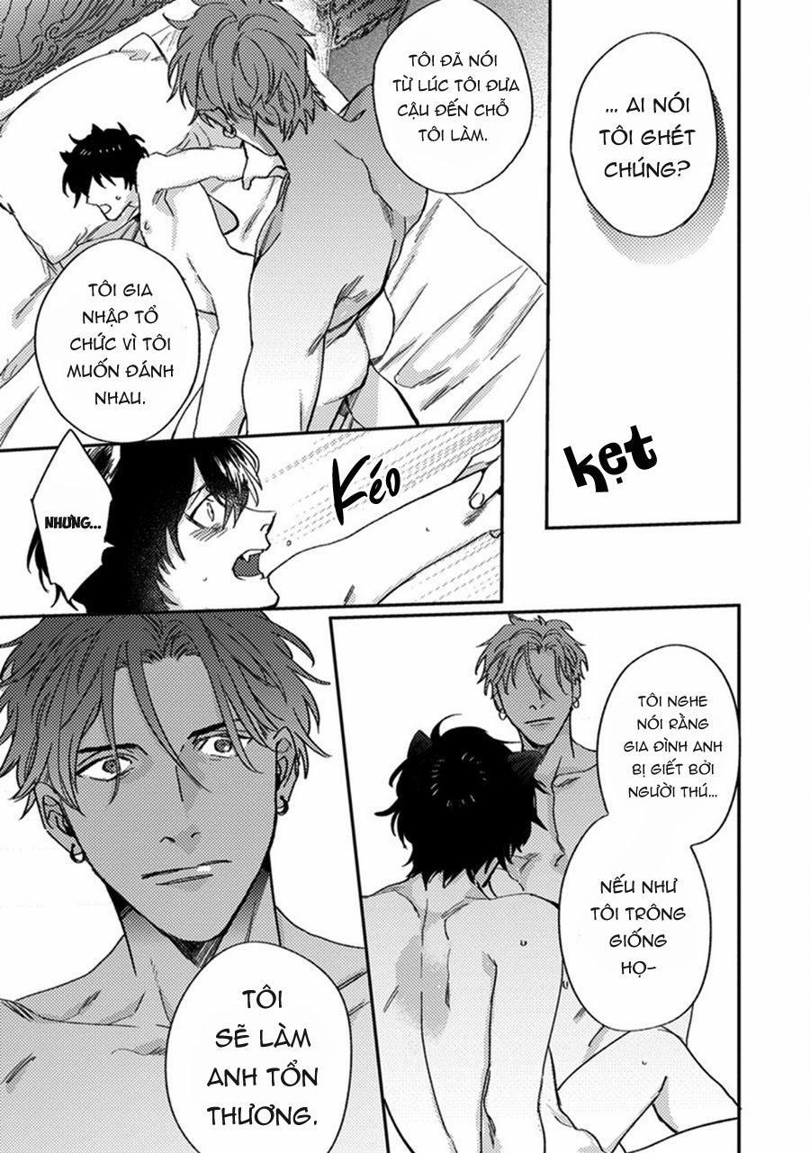 Sự Rung Động Thuần Khiết 6 trang 27