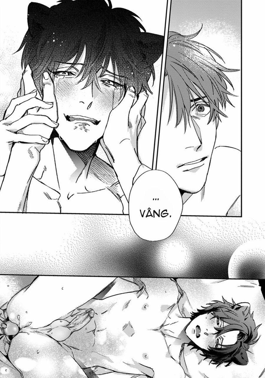 Sự Rung Động Thuần Khiết 6 trang 30