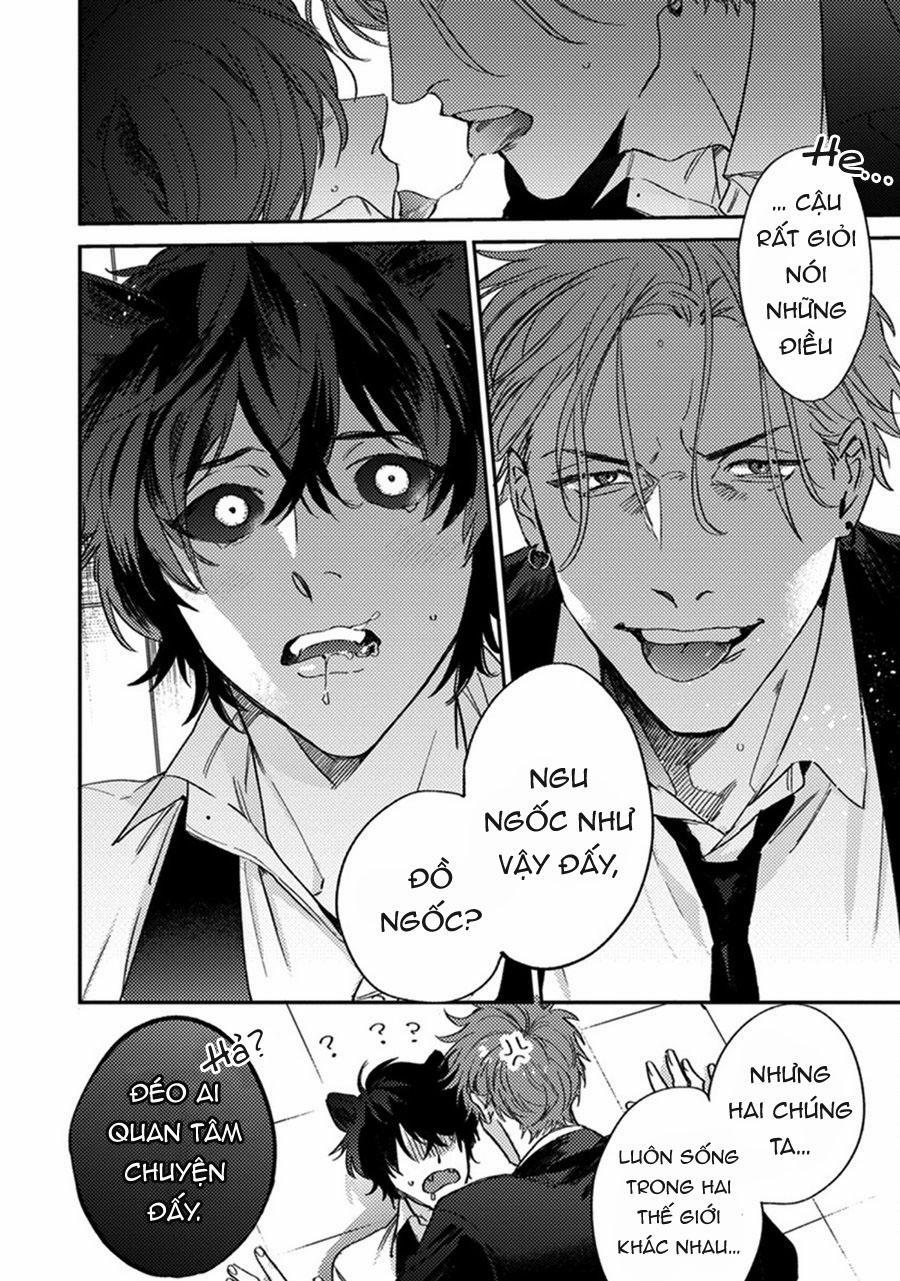 Sự Rung Động Thuần Khiết 6 trang 8