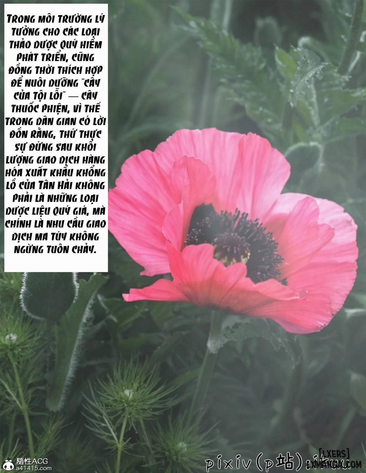 Sự Sa Ngã Của Hoa Hồng Thép 1 trang 2