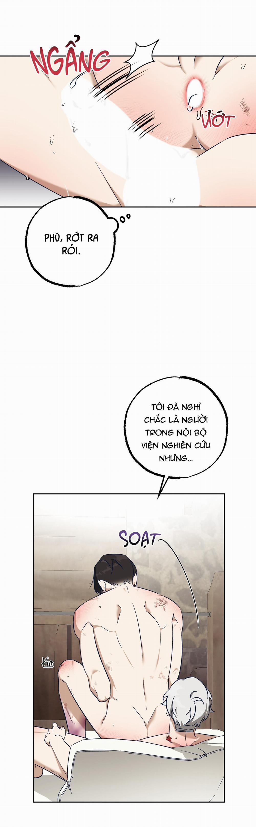 Sự Tham Lam Của Nhân Loại 14.6 cùm voi 6 trang 4