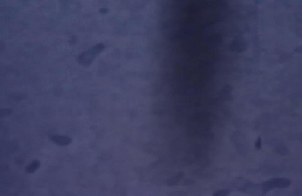 Sự Tình Của Kẻ Ác Nhân 16 trang 156