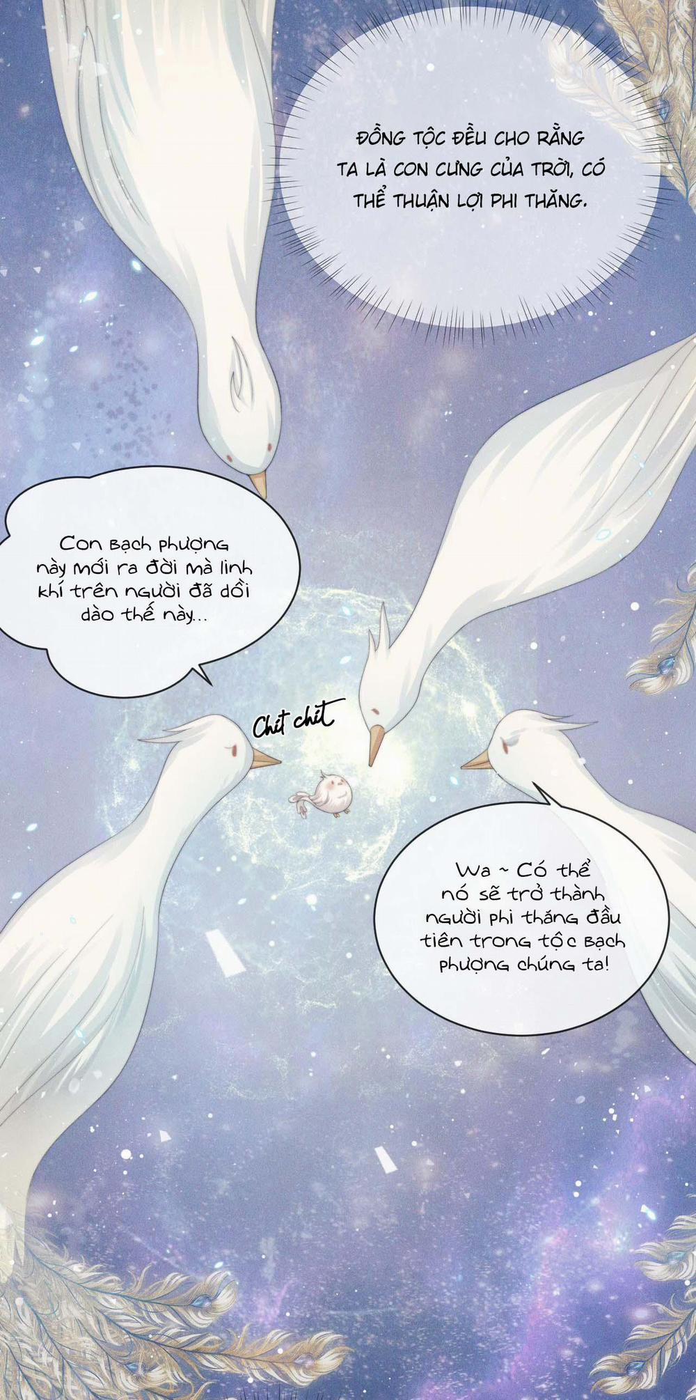 Sư Tôn Mỹ Nhân Bệnh Độc Chiếm 51 trang 29