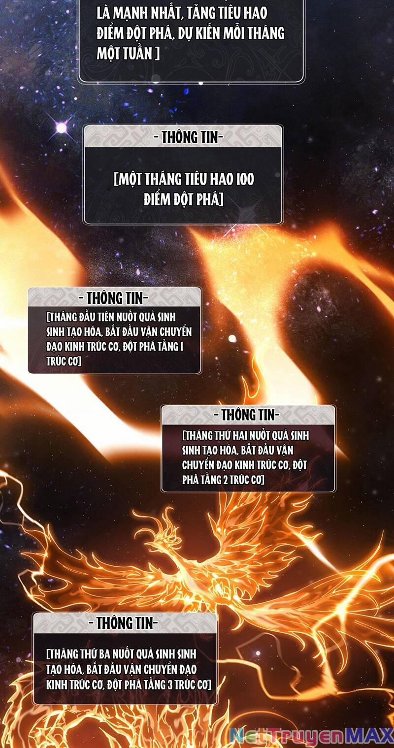 Sư Tôn: Nghịch Đồ Này Mới Không Phải Là Thánh Tử 4 trang 33