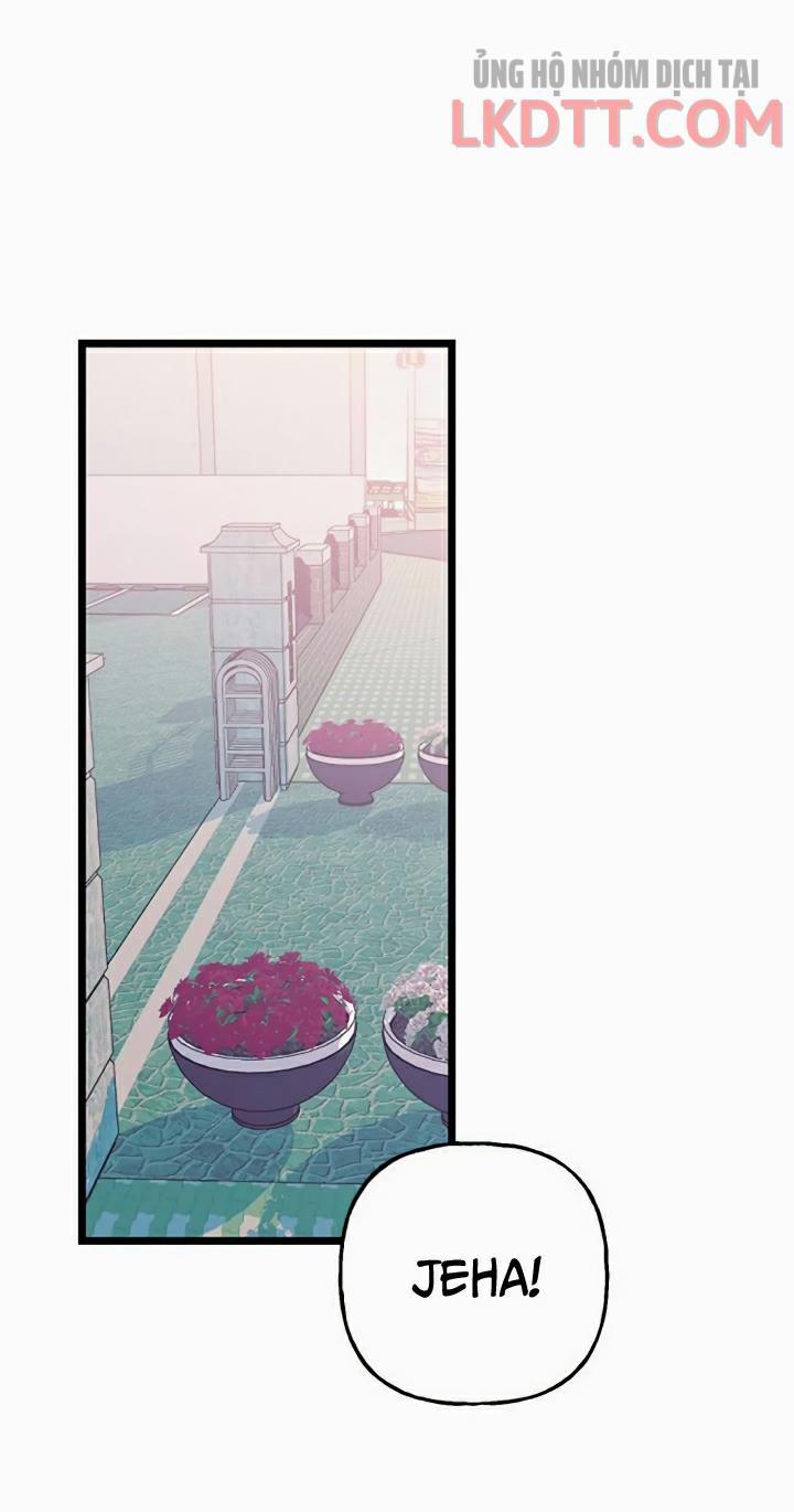 Sự Tồn Tại Lãng Mạn 4.1 trang 28