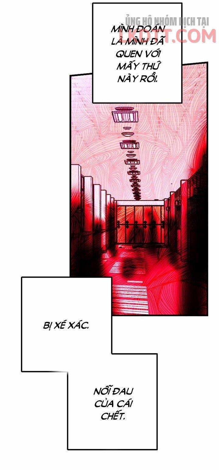 Sự Tồn Tại Lãng Mạn 5.2 trang 48