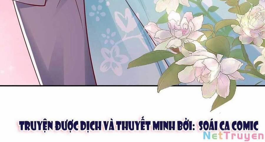 Sự Trả Thù Của Nữ Vương 74 trang 1