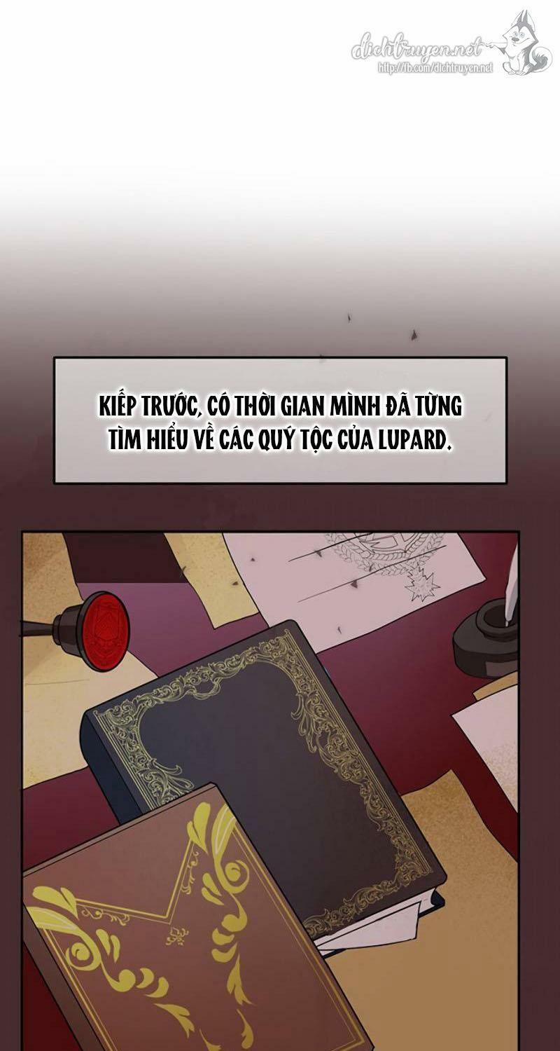 Sự Trở Lại Của Nữ Hiệp Sĩ (Nữ Hiệp Sĩ Trở Về) 4 trang 44