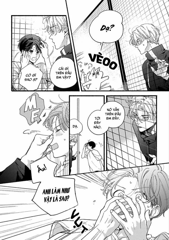 Sumire Của Cậu 3 trang 5