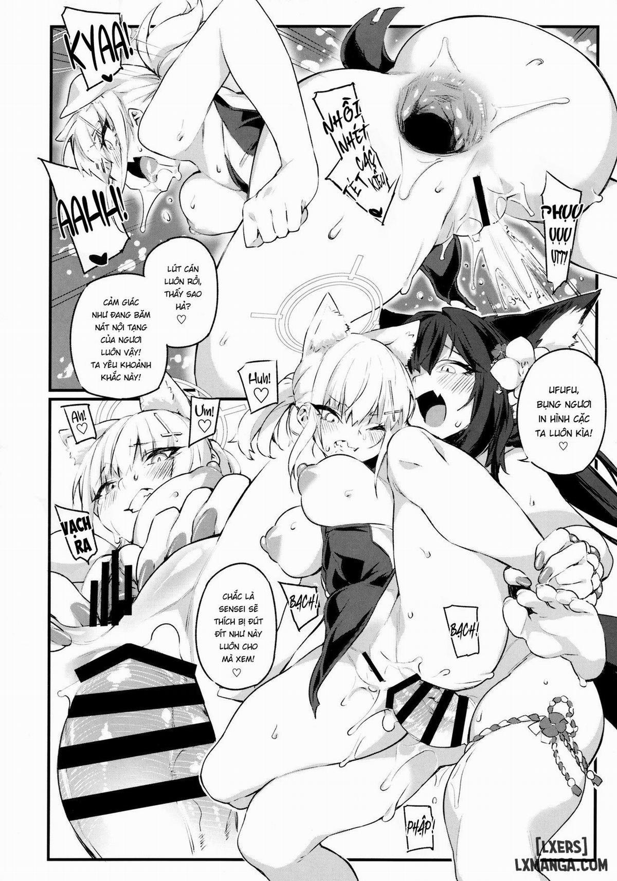 SUMMER FOX HUNTING mèo méo meo trang 11