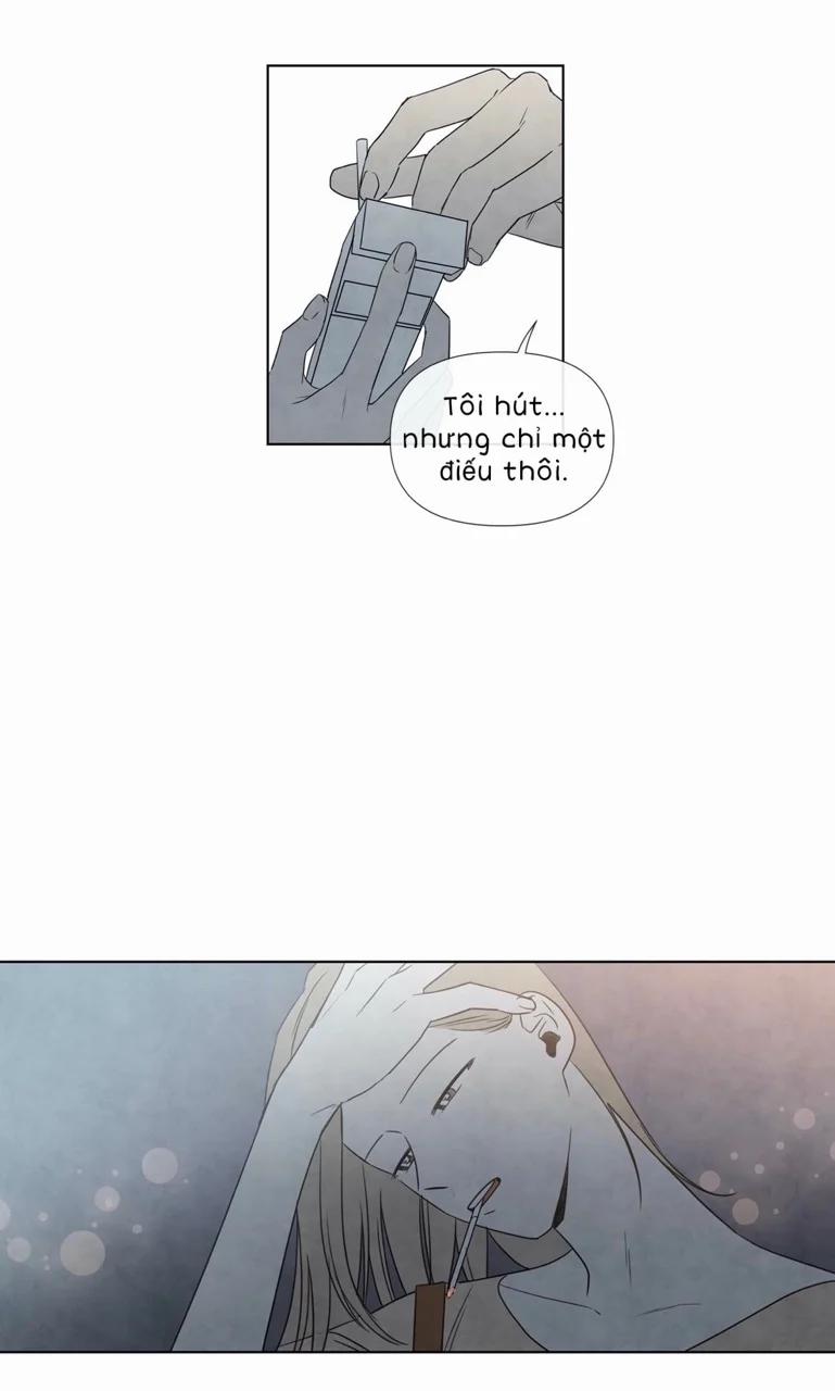 Summer Solstice Point 0 0 2 trang 19