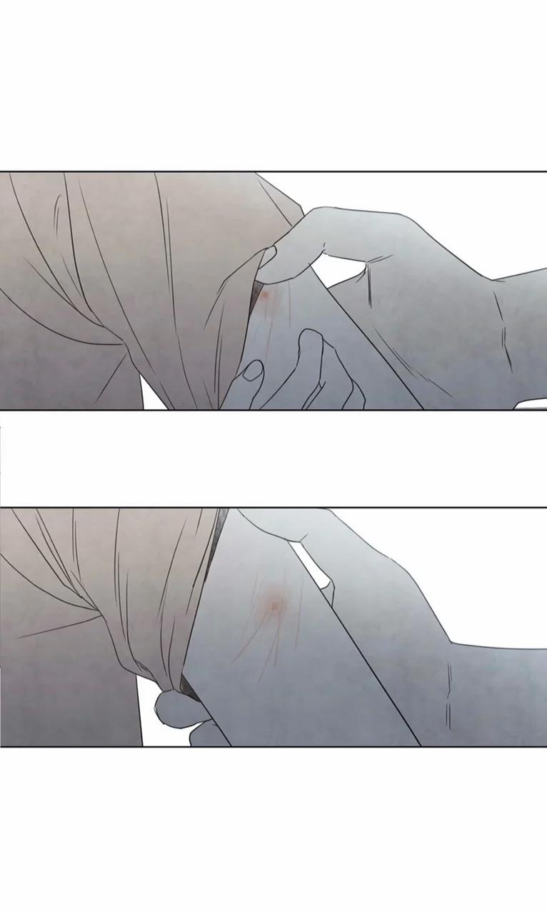 Summer Solstice Point 0 0 2 trang 24