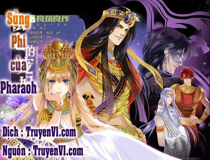 Sủng Phi Của Pharaoh 1 trang 1