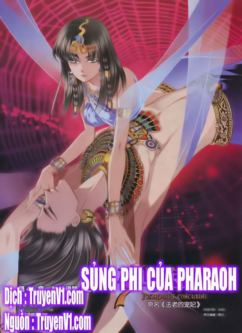 Sủng Phi Của Pharaoh 47 trang 0