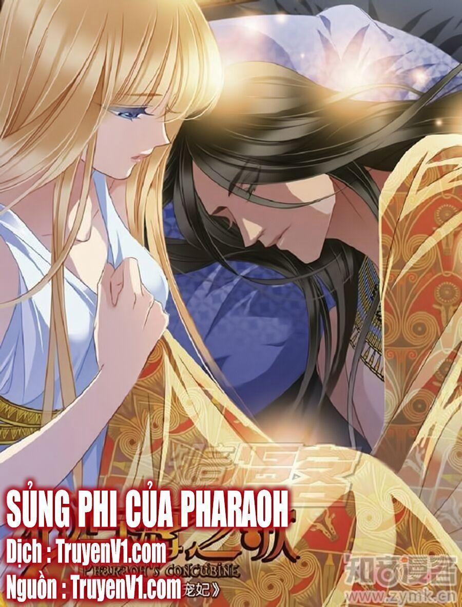 Sủng Phi Của Pharaoh 54 trang 0