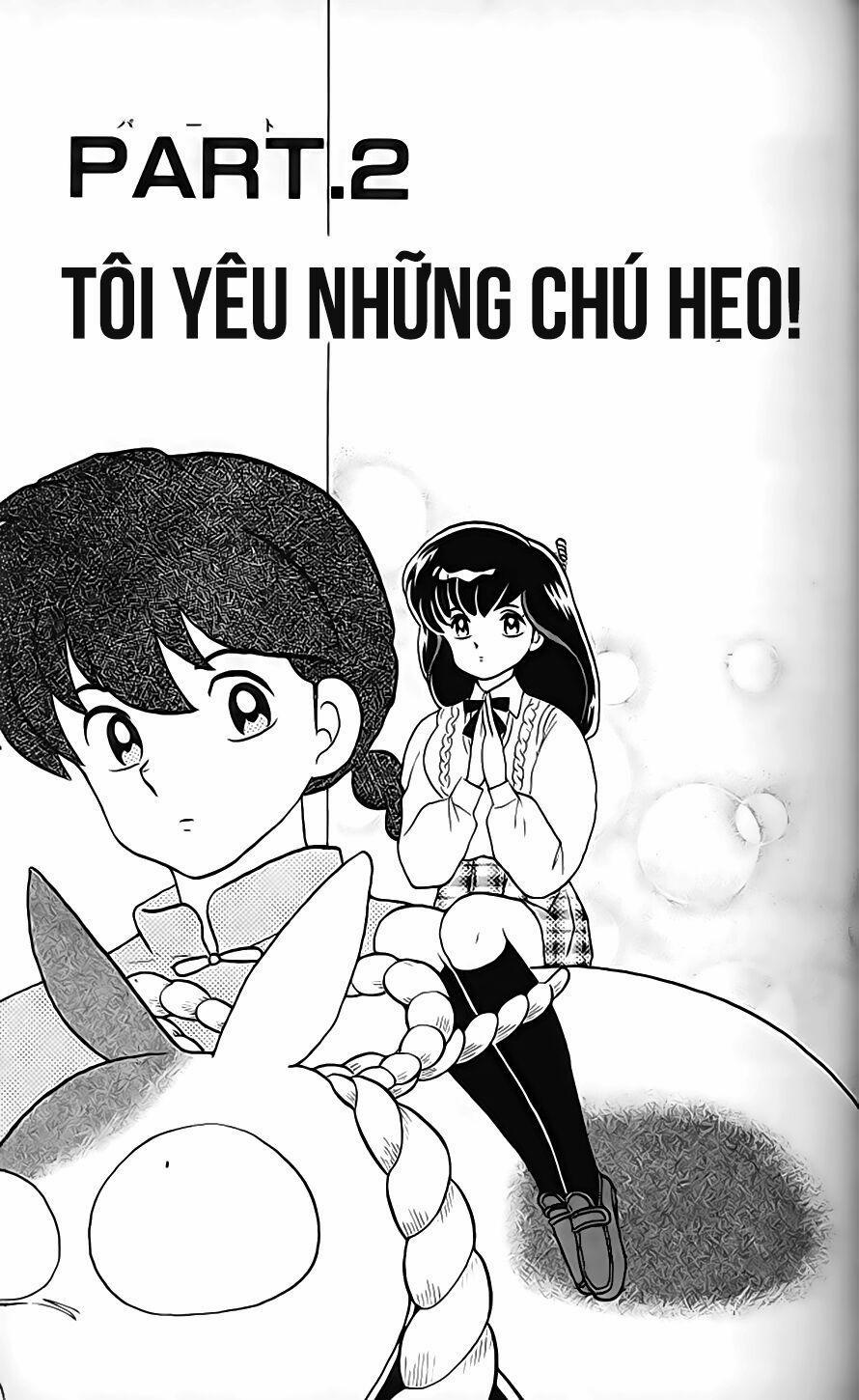 Suối Lời Nguyền 313 trang 0