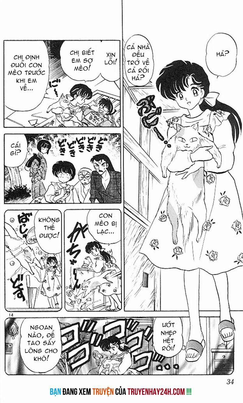 Suối Lời Nguyền 346 trang 15