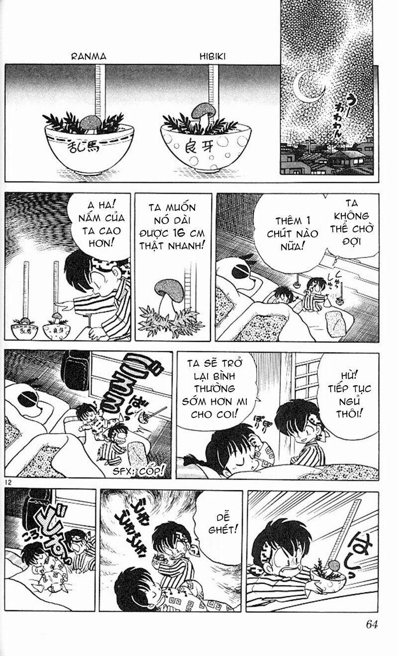 Suối Lời Nguyền 348 trang 13