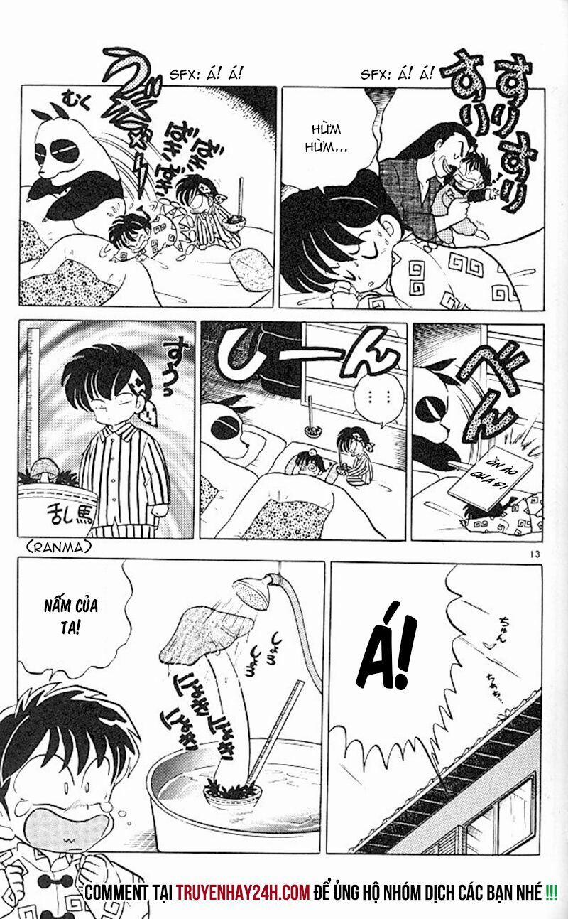 Suối Lời Nguyền 348 trang 14