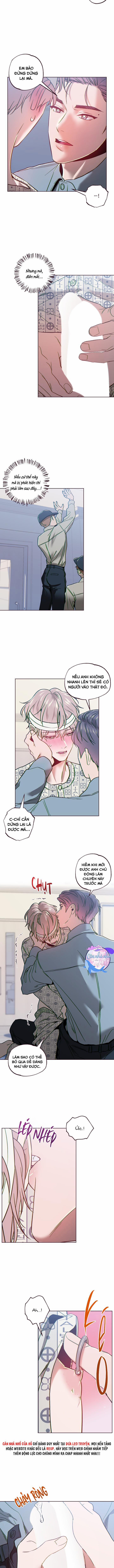 SỤP ĐỔ 31 trang 7