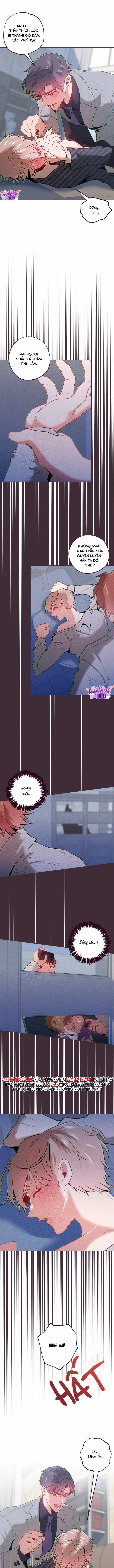 SỤP ĐỔ 35 trang 4