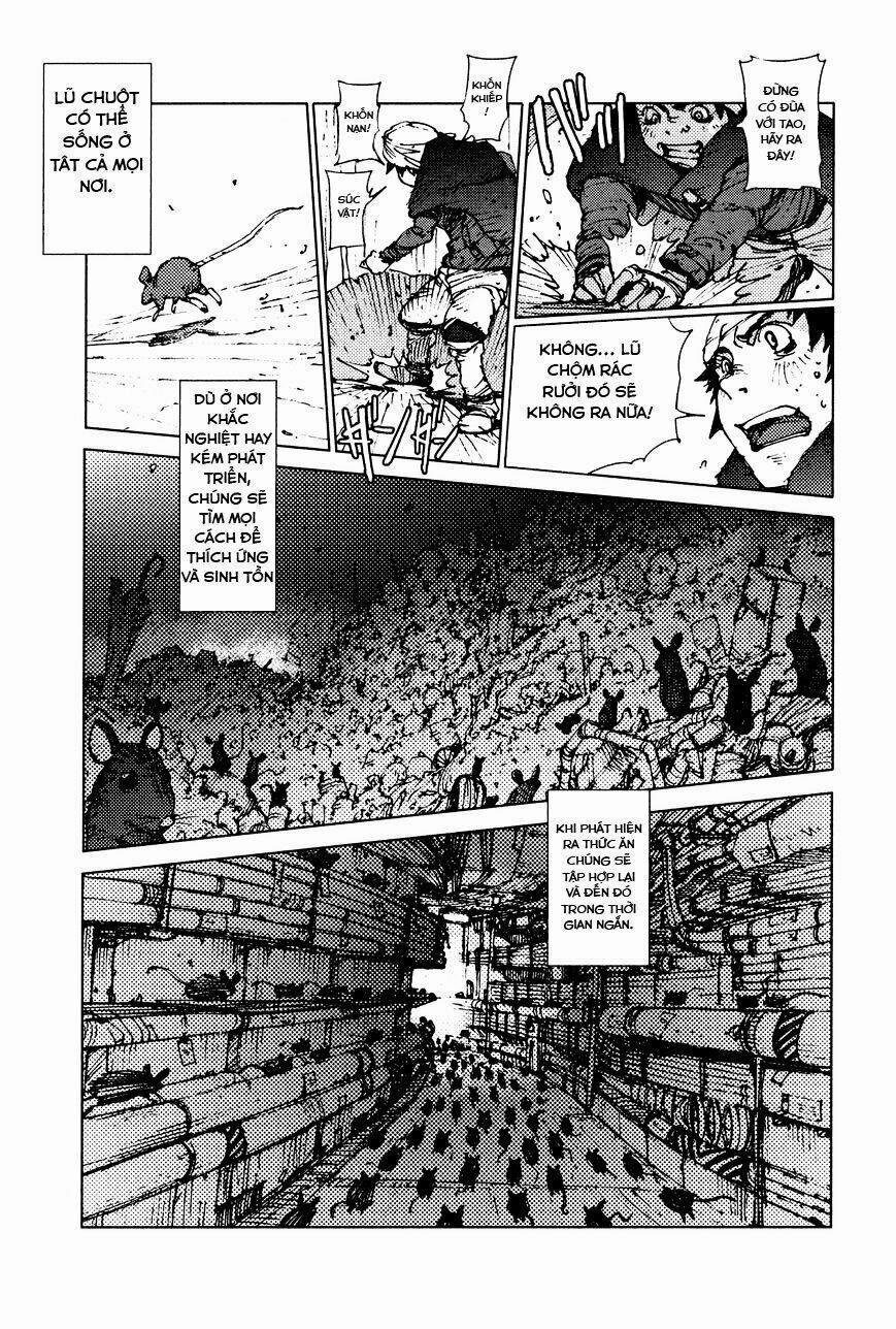 Survival - Shounen S No Kiroku 20 trang 5