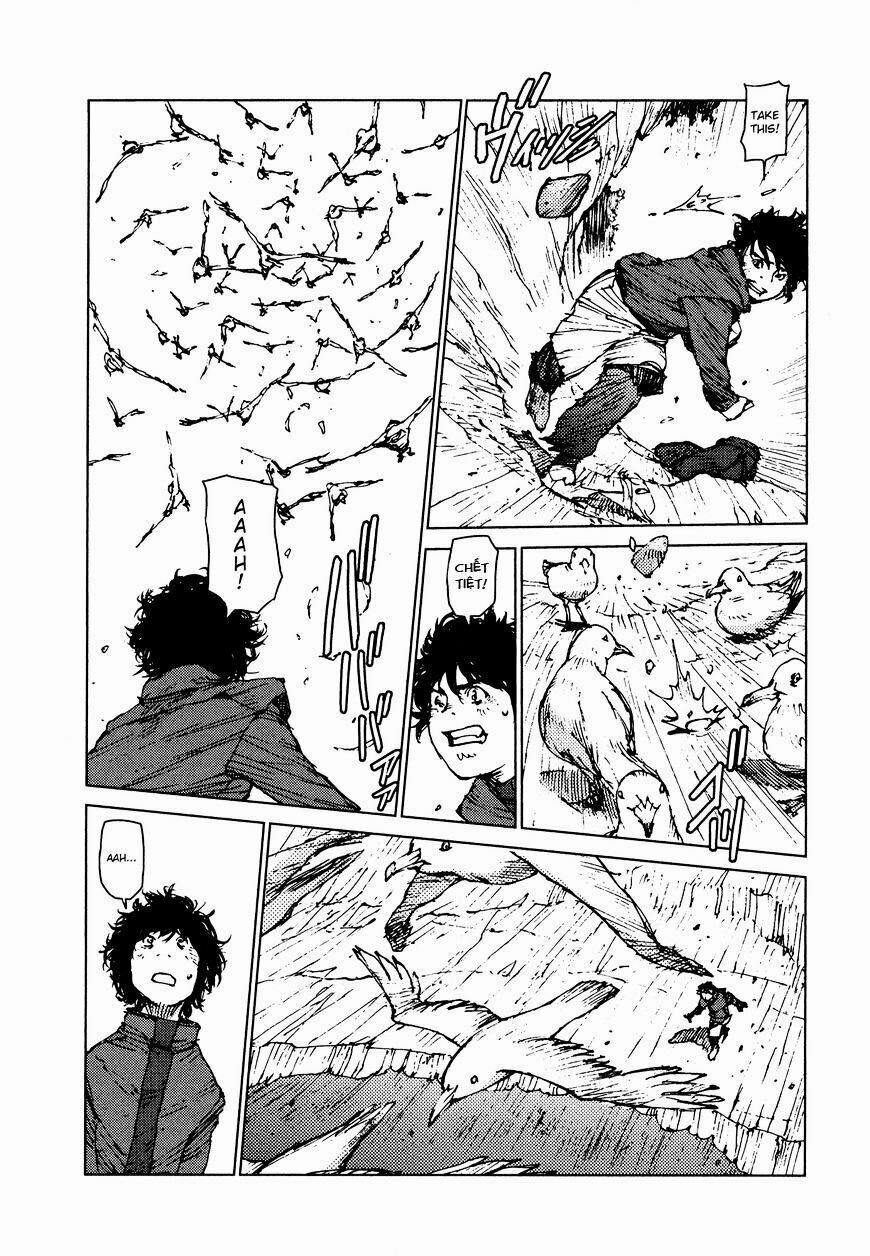 Survival - Shounen S No Kiroku 27 trang 6