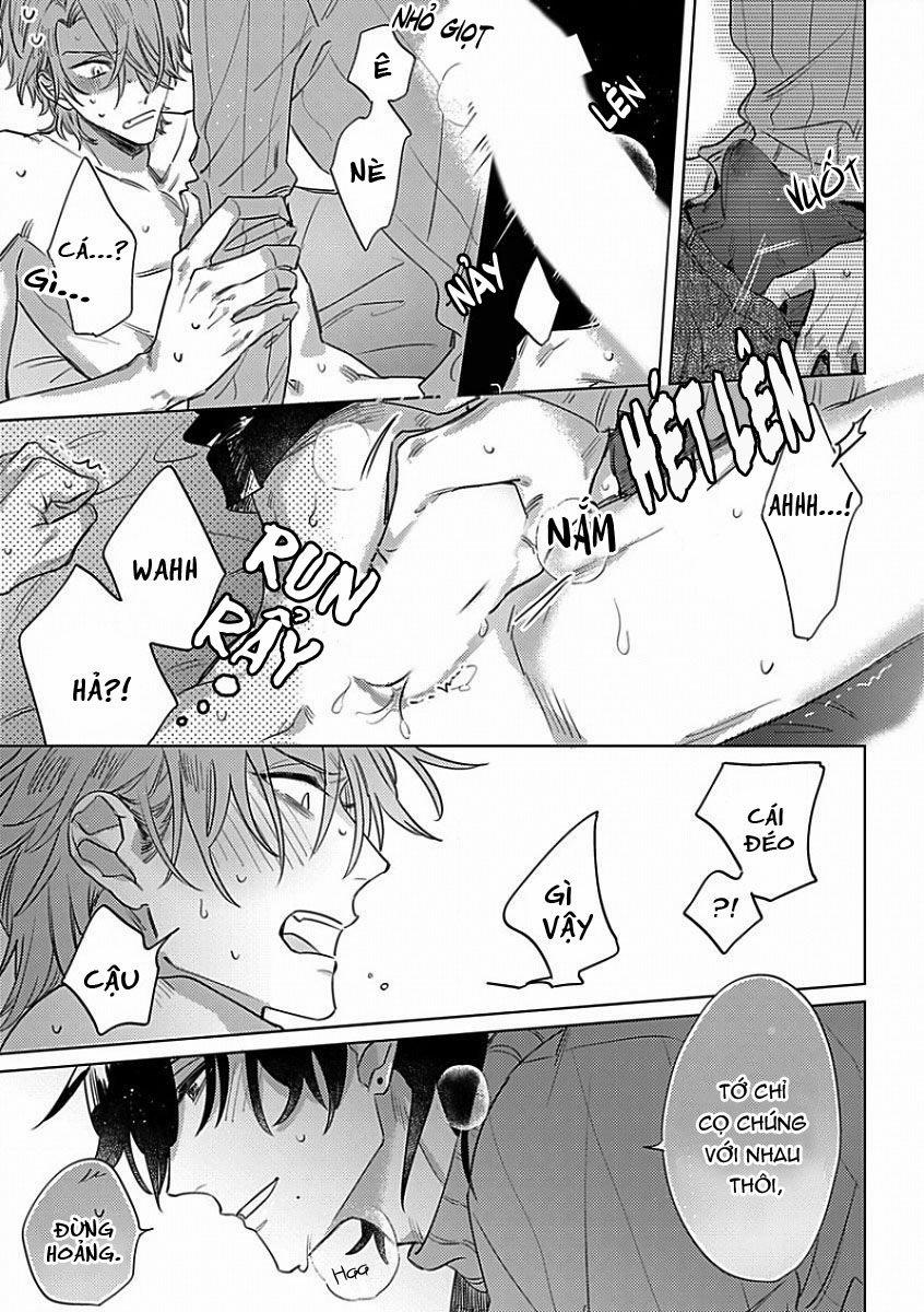 Sutenaide My Hero 2 trang 21