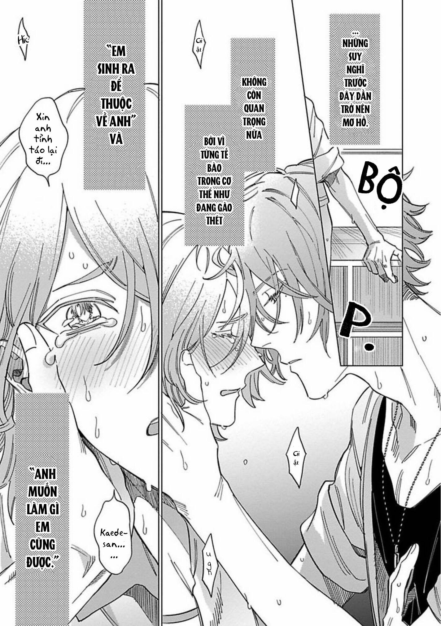 Sutenaide My Hero 9 trang 15