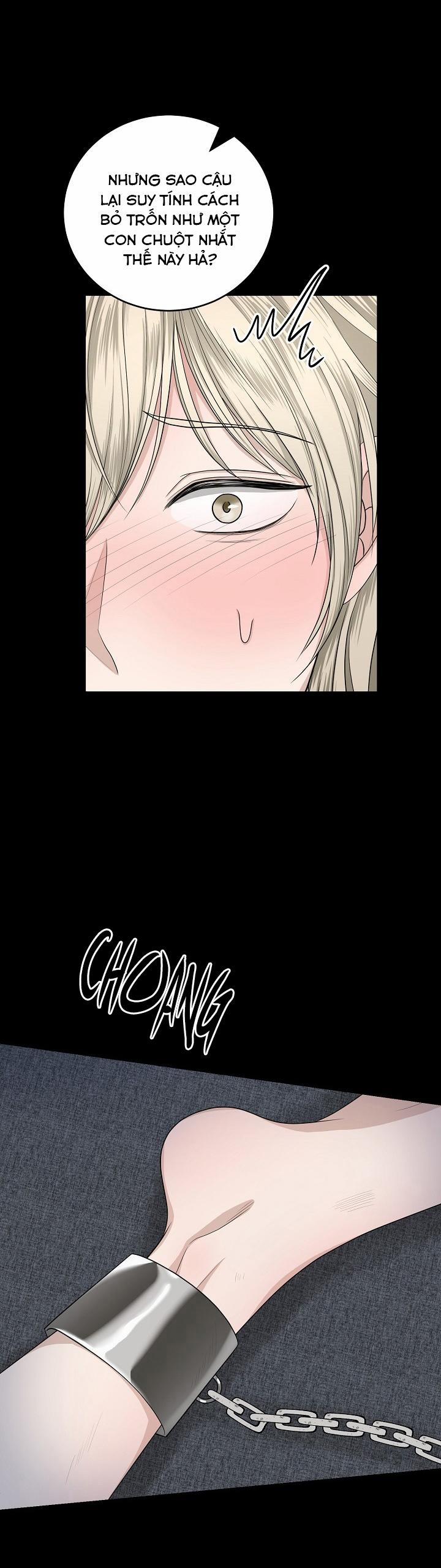 SƯU TẦM GIA 0 trang 6