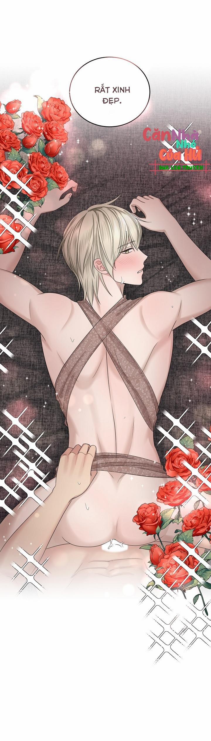 SƯU TẦM GIA 10 trang 47