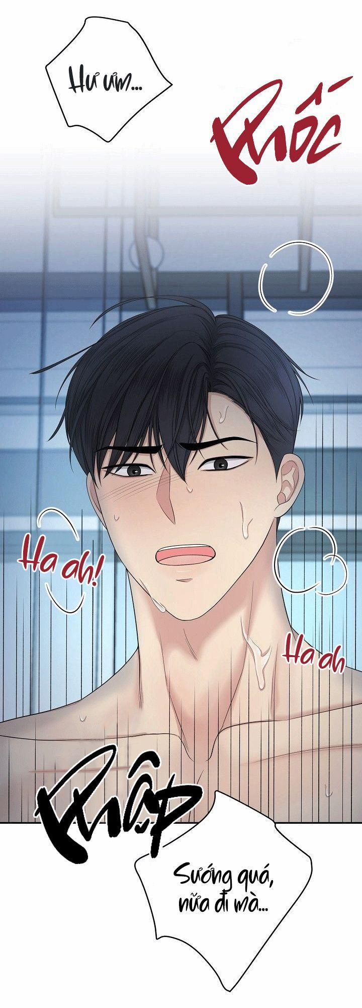 SƯU TẦM GIA 4 trang 7