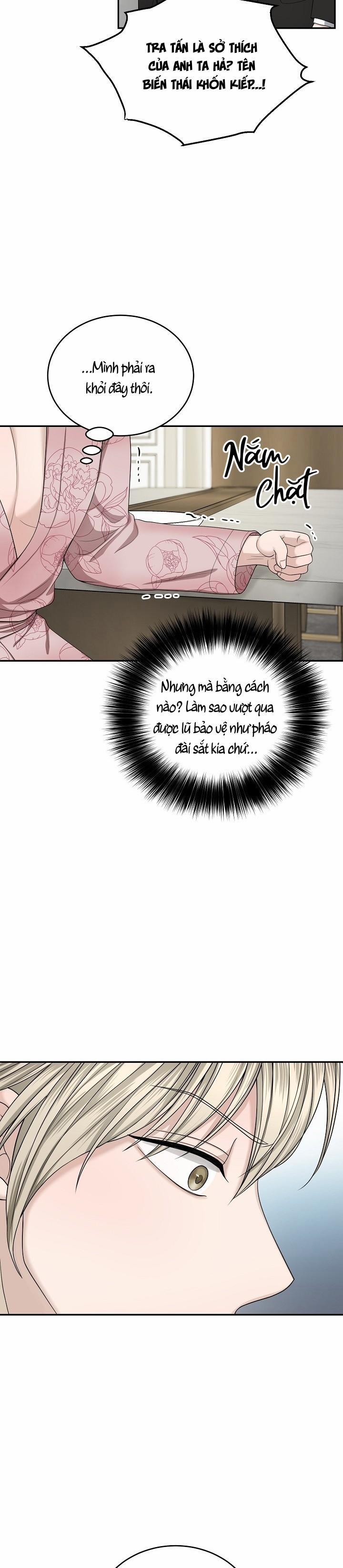 SƯU TẦM GIA 5 trang 19