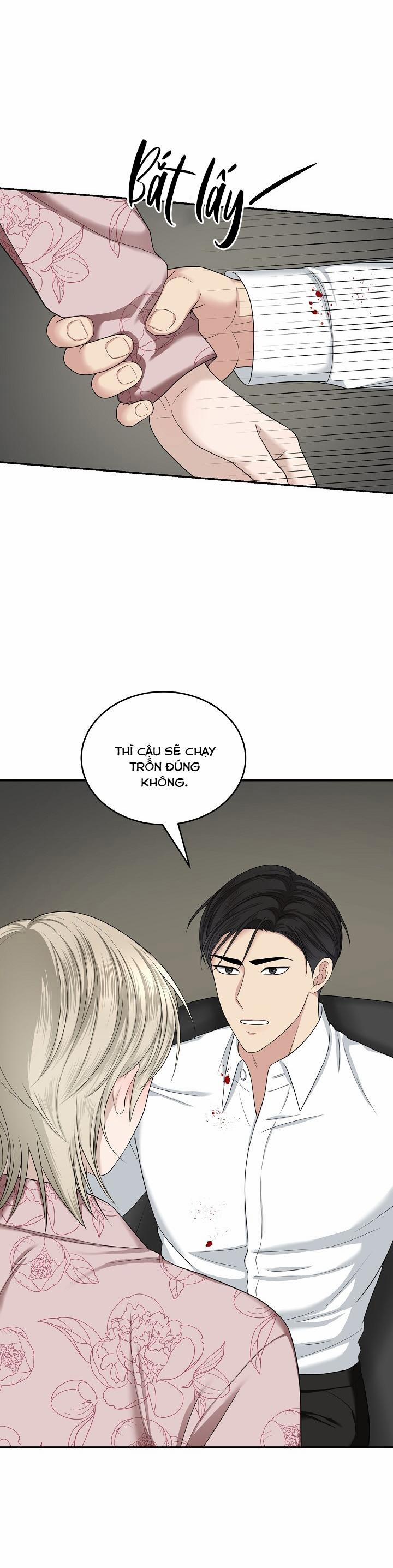 SƯU TẦM GIA 6 trang 22