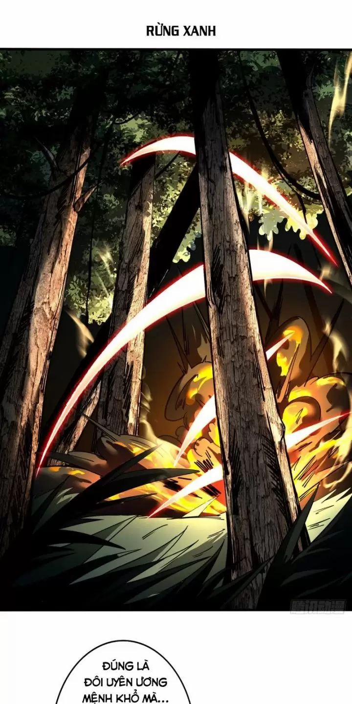 Ta, Chúa Tể Rừng Xanh 1 trang 71