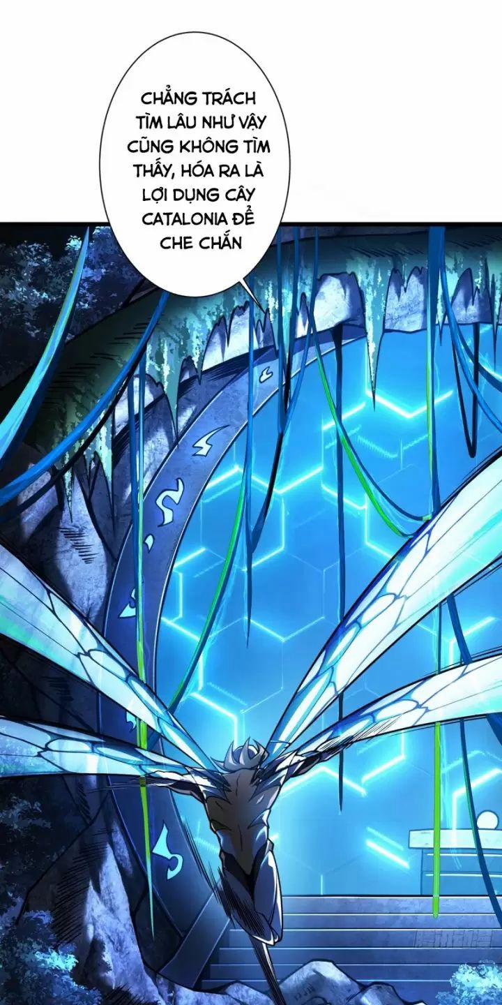 Ta, Chúa Tể Rừng Xanh 11 trang 23