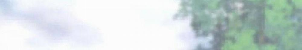 Ta Có 90 Tỷ Tiền Liếm Cẩu! 20 trang 45